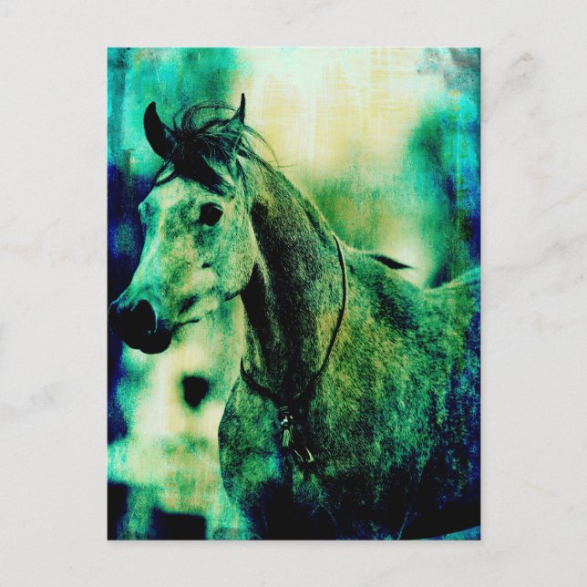 Arabian Blues Vykort (Framsida)