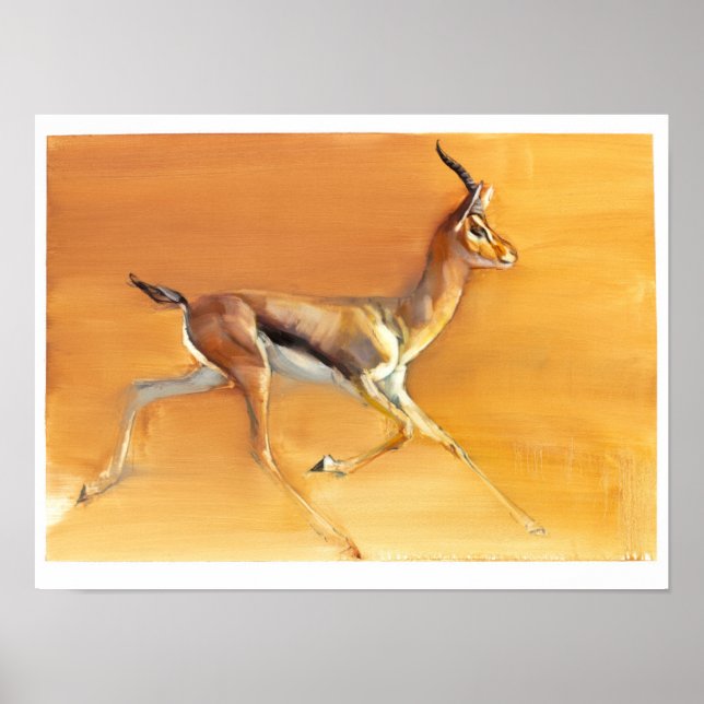 Arabian Gazelle 2010 Poster (Framsidan)
