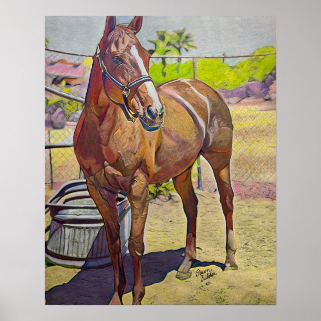 Arabian Horse Art Poster (Framsidan)
