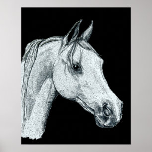 Arabian Horse Bläck Sketch Poster