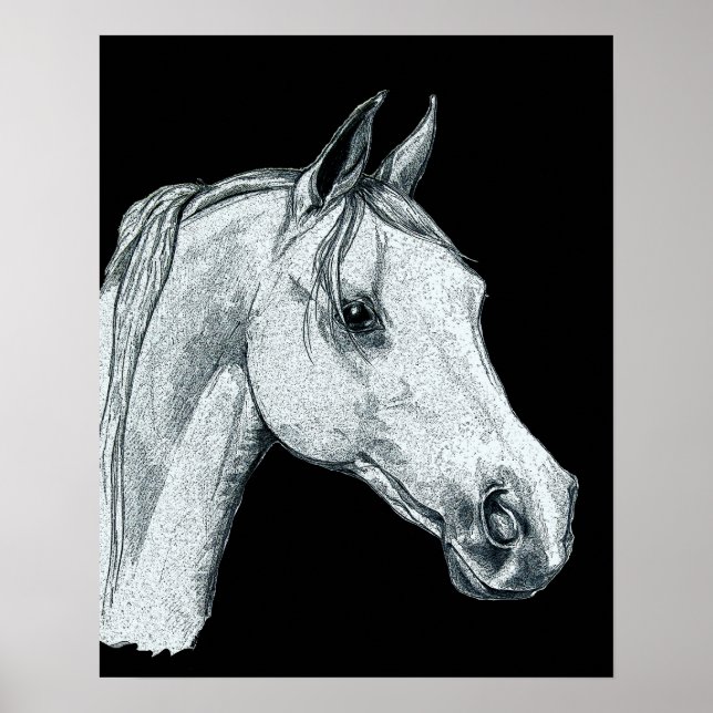 Arabian Horse Bläck Sketch Poster (Framsidan)