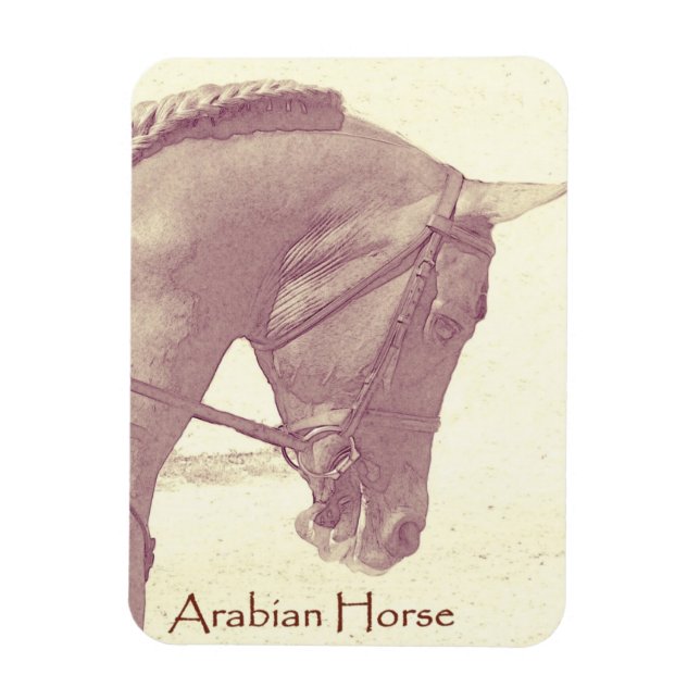 Arabian Horse magnet (Vertikal)