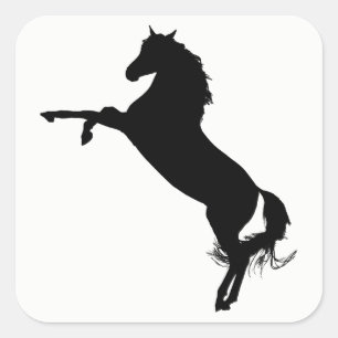 Arabian Horse Silhouette Fyrkantigt Klistermärke