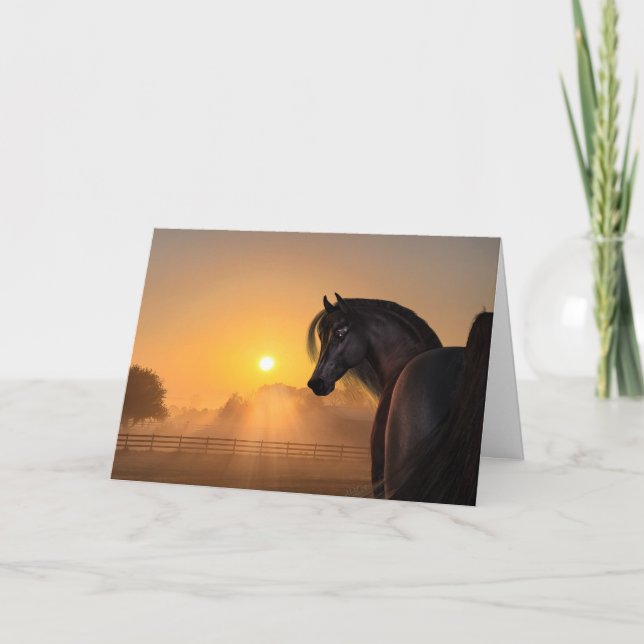 Arabian Horse Sunrise Kort (Framsida)