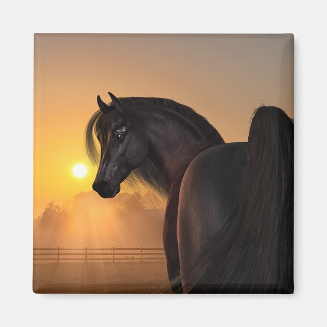 Arabian Horse Sunrise Magnet (Framsidan)