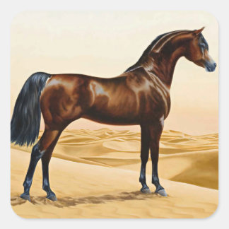 Arabian Horse - William Barraud Fyrkantigt Klistermärke