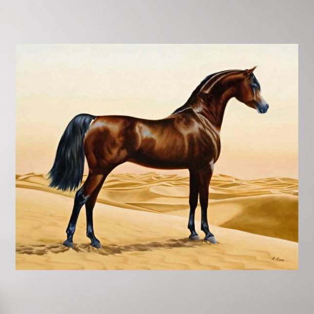 Arabian Horse - William Barraud Poster (Framsidan)