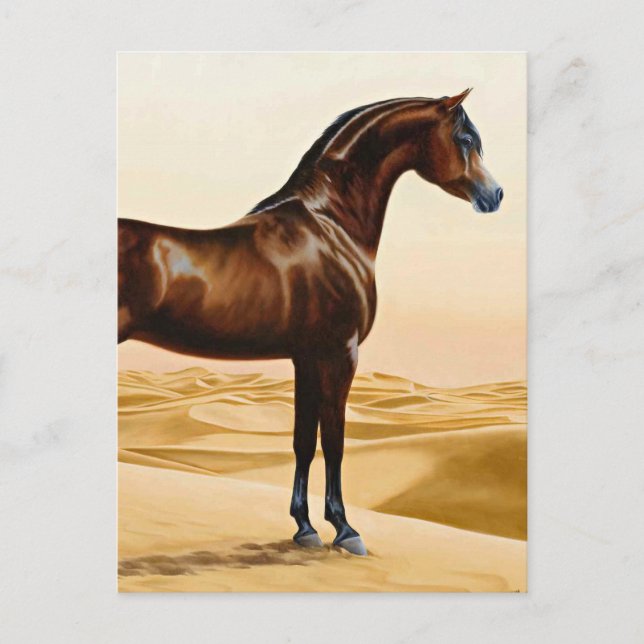 Arabian Horse - William Barraud Vykort (Framsida)
