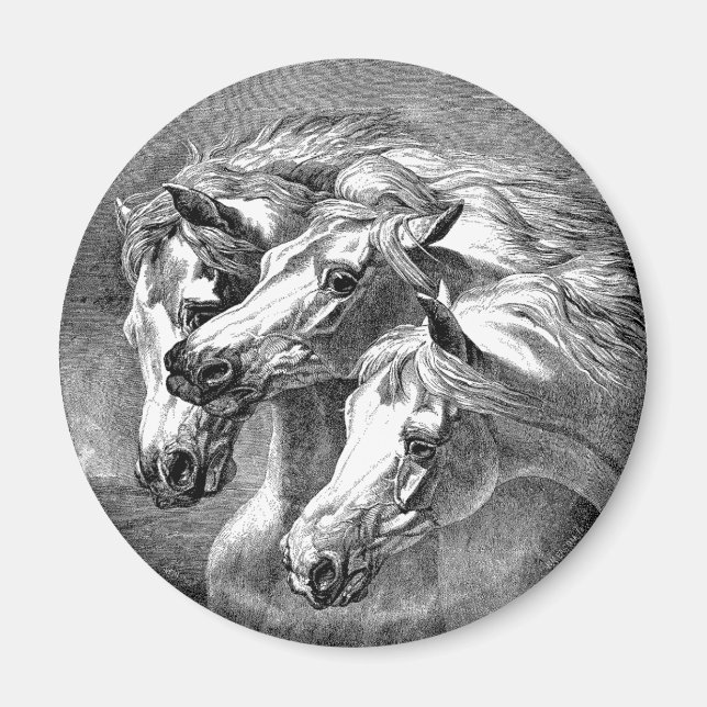 Arabian Horses Magnet (Framsidan)