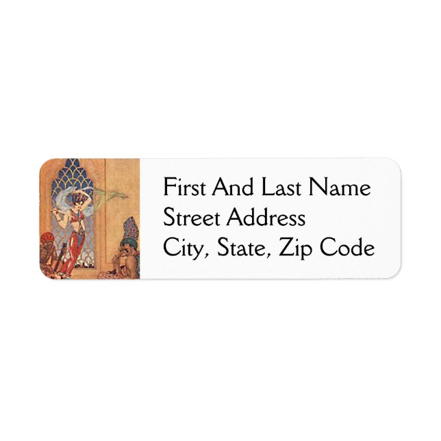 Arabian Nights Exotic Belly Dancer with Scarves Returadress Etikett (Framsidan)