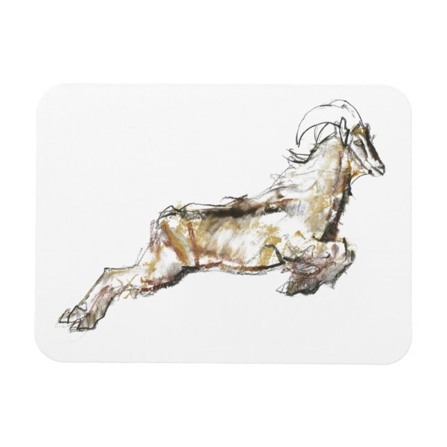 Arabian Tahr 2009 Magnet (Horisontell)
