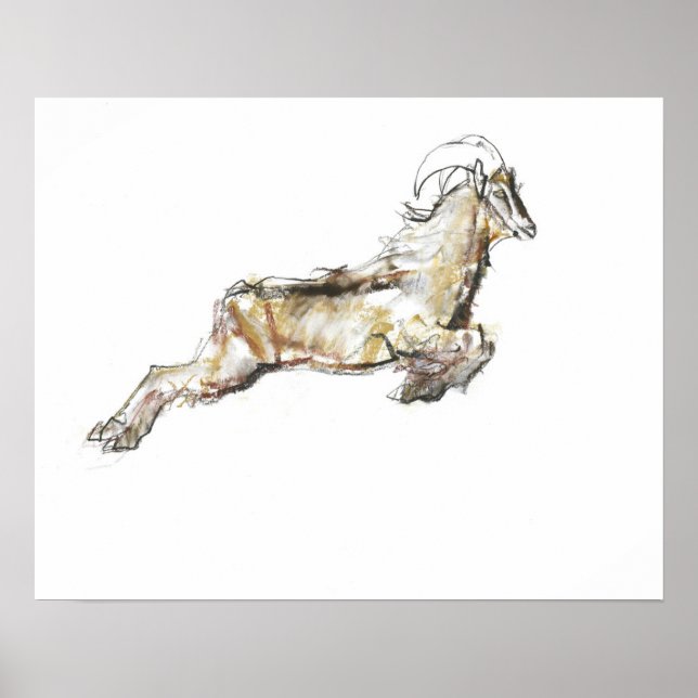 Arabian Tahr 2009 Poster (Framsidan)