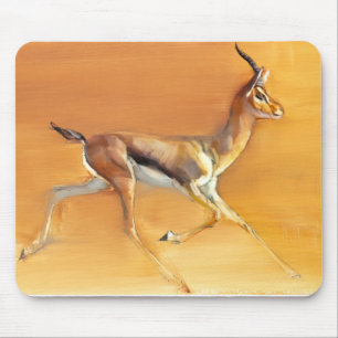 Arabisk Gazelle 2010 Musmatta