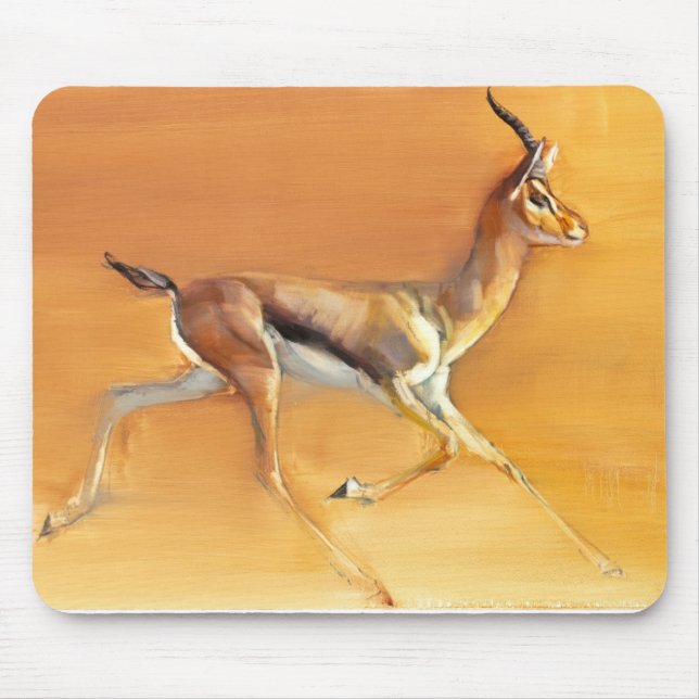 Arabisk Gazelle 2010 Musmatta (Framsidan)