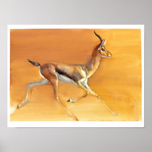 Arabisk Gazelle 2010 Poster