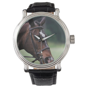 Arabisk häst med vit på ansikte armbandsur
