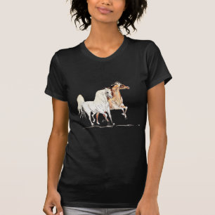 Arabisk häst TR Tee
