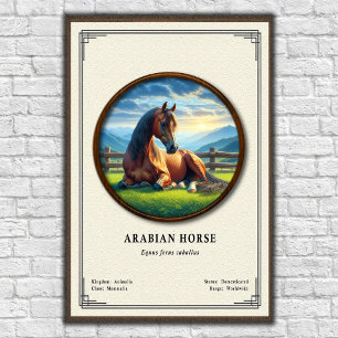 Arabisk Häst Zoologi Serie Poster
