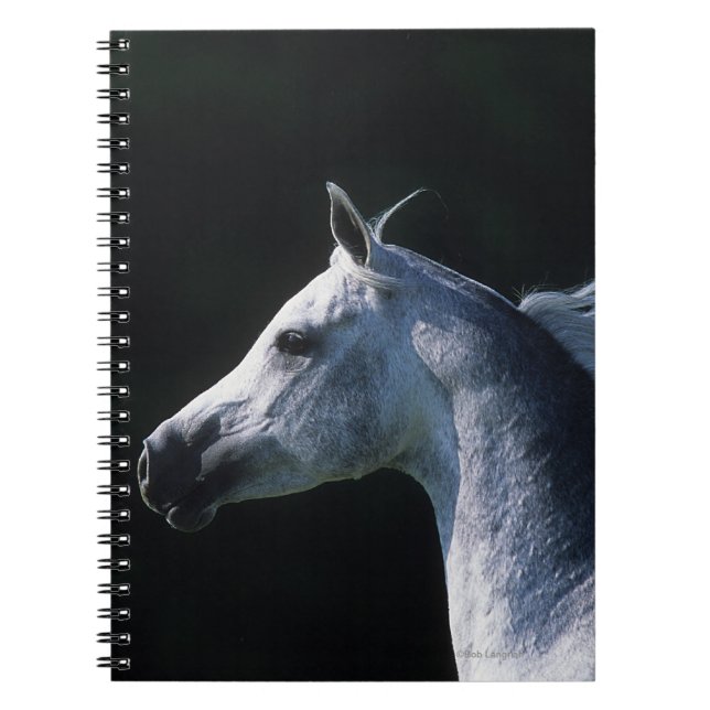 Arabisk hästHeadshot 2 Anteckningsbok (Framsidan)