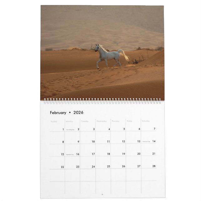 Arabisk hästkalender 2019 kalender (Feb 2026)