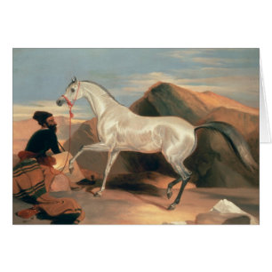 Arabisk hingst hälsningskort