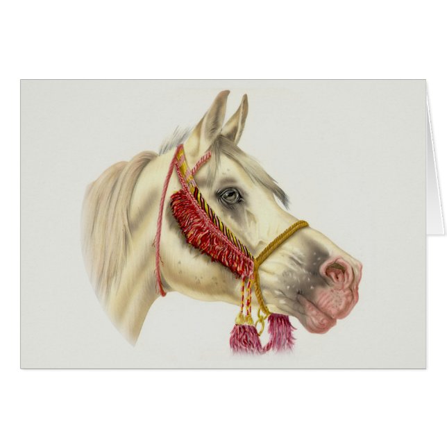Arabisk hingst hälsningskort (Framsidan Horizontal)