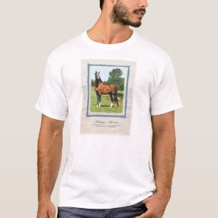 Arabisk hingst tee