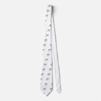 ARABISK KAMEL SLIPS