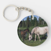 Arabisk Mare & föl 2