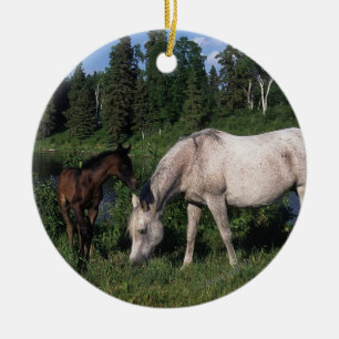 Arabisk Mare & föl 2 Julgransprydnad Keramik
