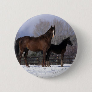 Arabisk Mare & föl i snö Knapp