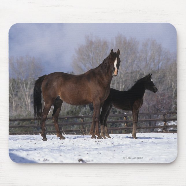 Arabisk Mare & föl i snö Musmatta (Framsidan)