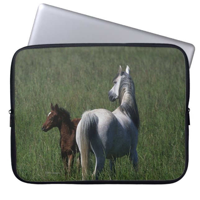 Arabisk Mare & föl Laptop Sleeve (Framsidan)