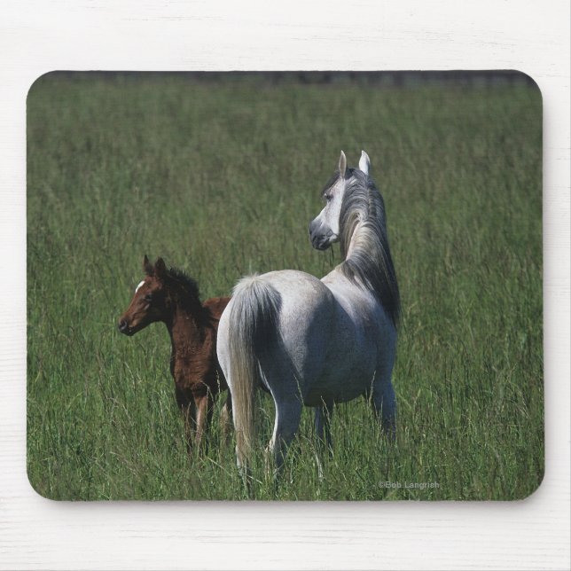 Arabisk Mare & föl Musmatta (Framsidan)