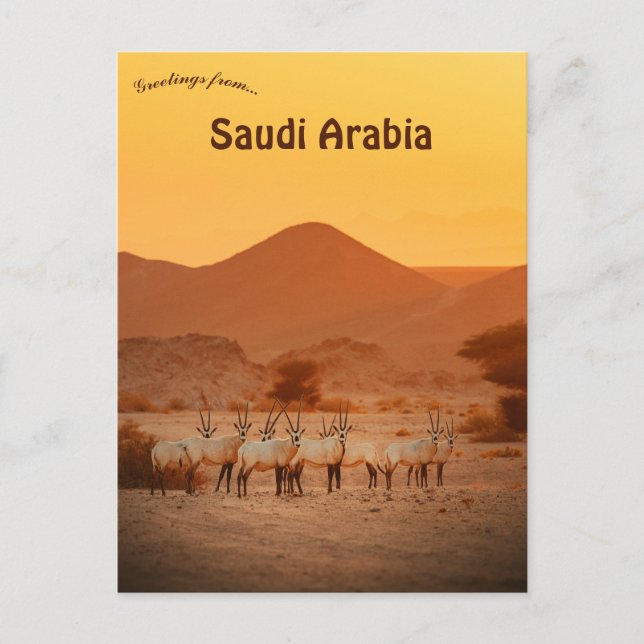 Arabisk Oryx Neom Saudiarabien Vykort (Framsida)