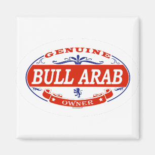 Arabisk tjur magnet