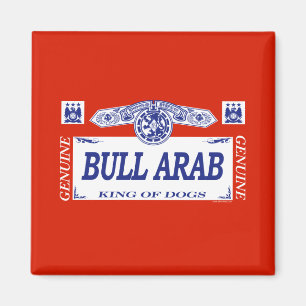 Arabisk tjur magnet