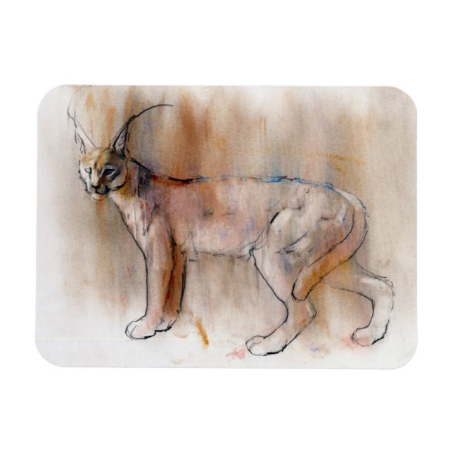 Arabiska Caracal 2009 Magnet (Horisontell)