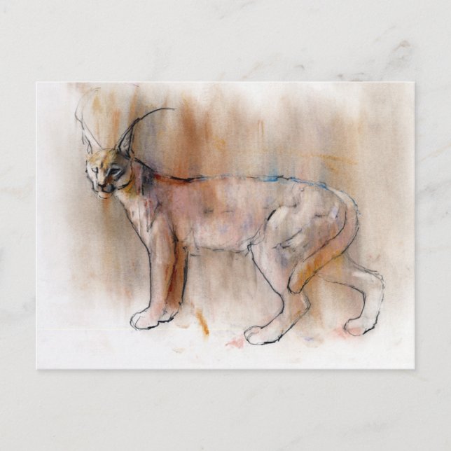 Arabiska Caracal 2009 Vykort (Framsida)