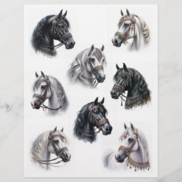 Arabiska hästar med vackra Bridles