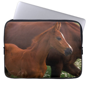 Arabiska hästen nära Mor Laptop Fodral