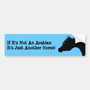 Arabiska häststötfångare bildekal