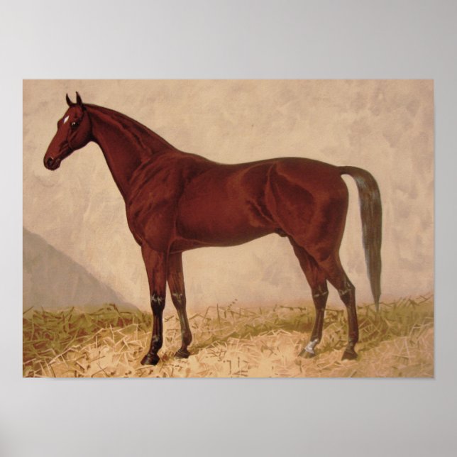 Arabiska Horse-målning Poster (Framsidan)