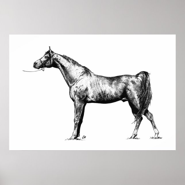 Arabiska i Pen & Bläck Poster (Framsidan)