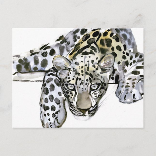 Arabiska Leopard 2008 6 Vykort (Framsida)