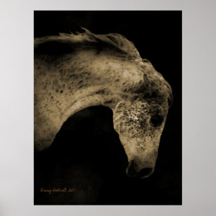 Arabiska Mare Poster