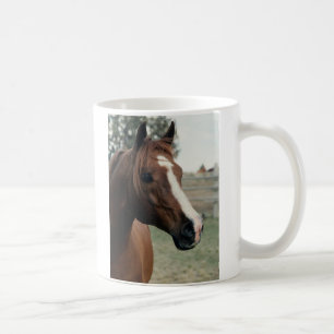 Arabiska på pasture kaffemugg