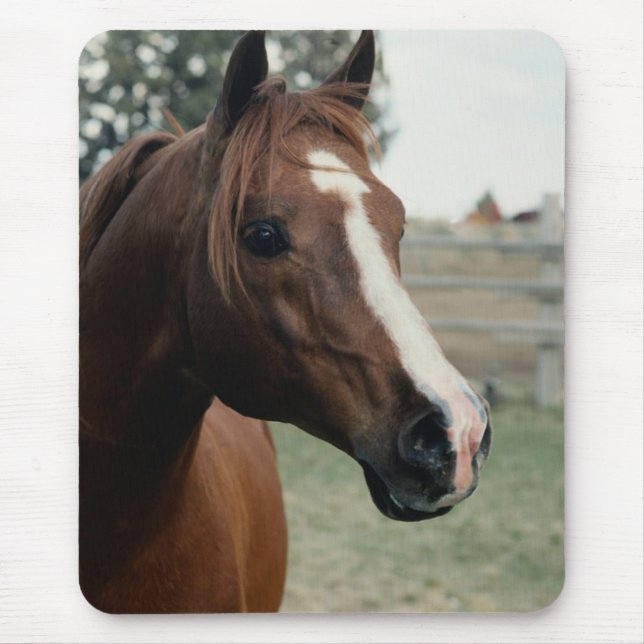 Arabiska på pasture musmatta (Framsidan)