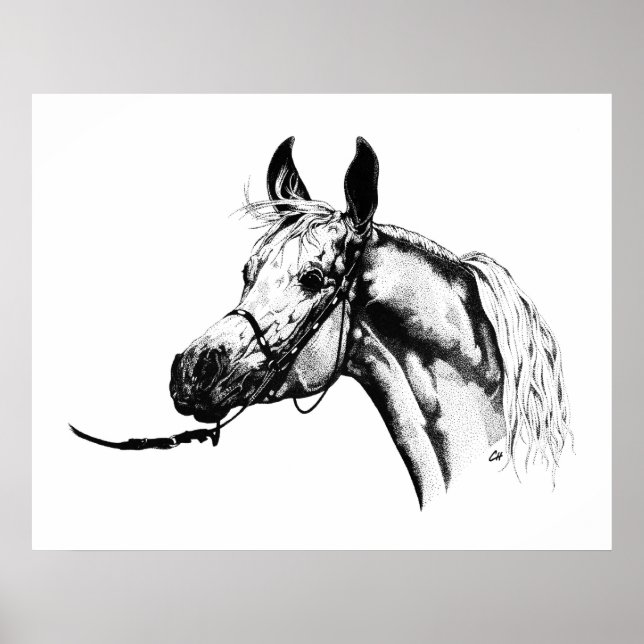 Arabiska porträtt i Pen & Bläck Poster (Framsidan)