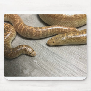 Arabiska sandbollar musmatta